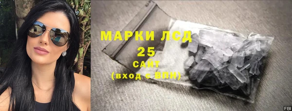 амф Дмитров