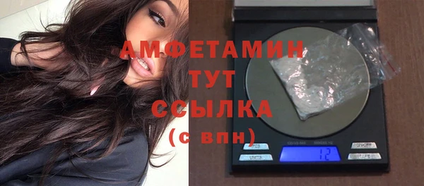 мдпв Осинники