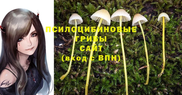 амф Дмитров