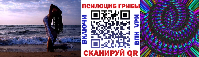Псилоцибиновые грибы мухоморы  ссылка на мегу tor  Емва 